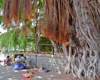 'homeless' près du Taj Mahal Palace - Mumbai
