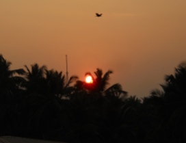 Aigle au soleil couchant - Calicut / Kozhikode © ChPL / janv 2014